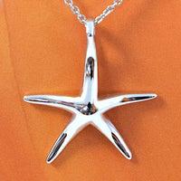 Pretty Hawaiian Starfish Necklace and Earring, Sterling Silver Star Fish Charm Pendant, N2022S Birthday Mother Wife Mom Girl Gift