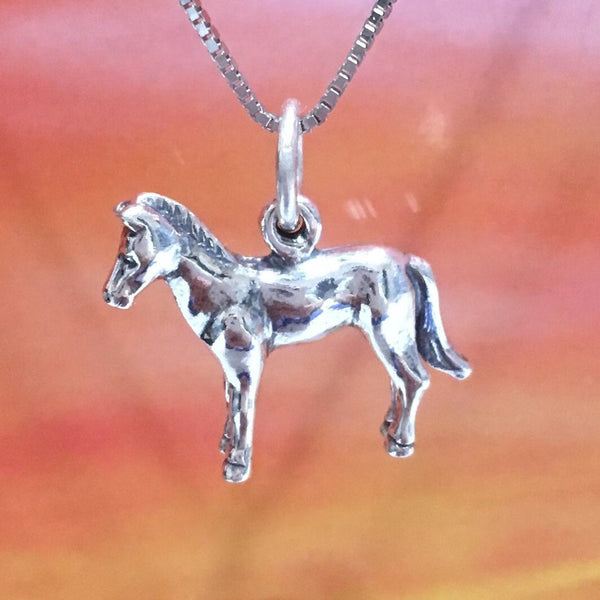 Unique Texan 3D Horse Necklace, Sterling Silver 3D Horse Pendant, High Polish & Oxidized Finish, N2990 Birthday Mother Wife Mom Gift