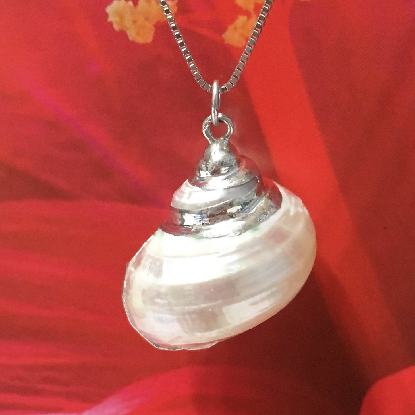 Collier unique en coquillage véritable de grande taille hawaïen, pendentif en coquillage naturel en argent sterling, cadeau d'anniversaire pour maman N2996, déclaration PC