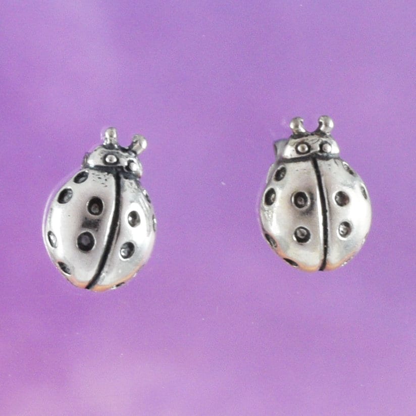 Unique Hawaiian Ladybug Earring, Sterling Silver Lady Bug Stud Earring, E8152 Birthday Mom Wife Girl Mother Gift