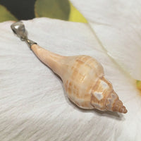 Unique Beautiful Hawaiian X-Large Genuine Seashell Necklace, Sterling Silver Natural Sea Shell Pendant, N8338 Birthday Valentine Gift