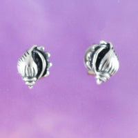 Unique Hawaiian Seashell Earring, Sterling Silver Seashell Stud Earring, E8813 Birthday Girl Valentine Gift